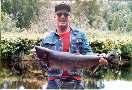 Kevin&rsquo;s salmon